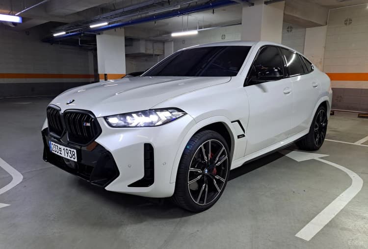 X6 (G06)