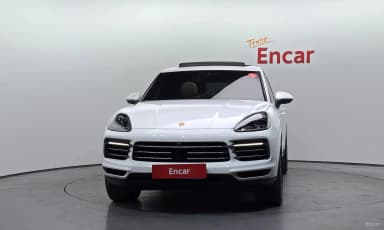 Cayenne (PO536)