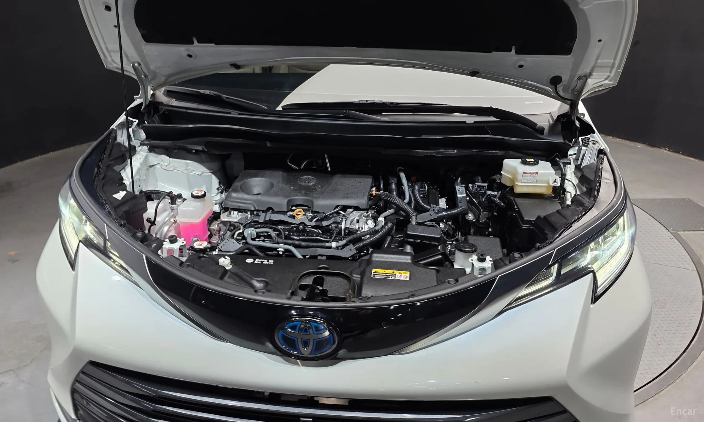 Siena 4th generation