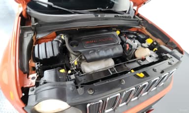 Renegade