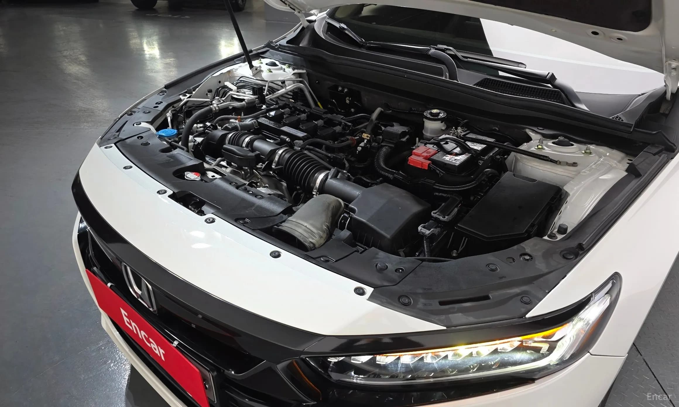 Accord 10th Generation