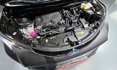 Siena 4th generation