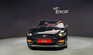 Mustang