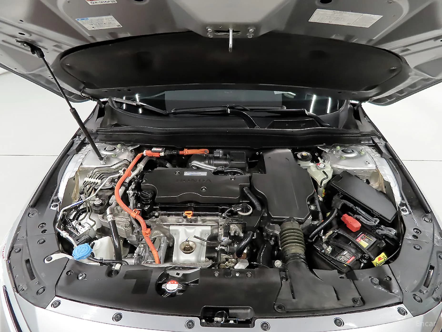 Accord 10th Generation