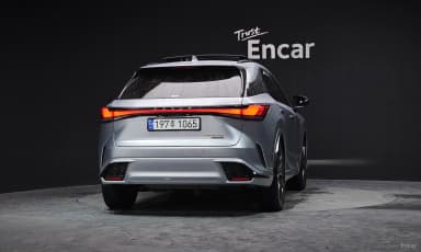 RX500h 5th Generation