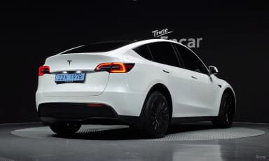 Model Y