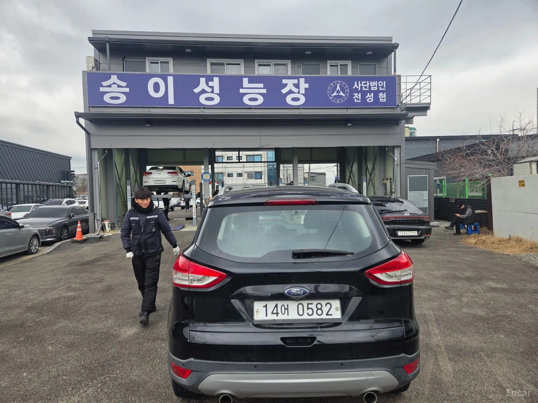 Cougar 2nd Generation