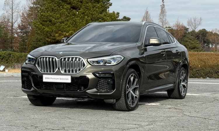 X6 (G06)