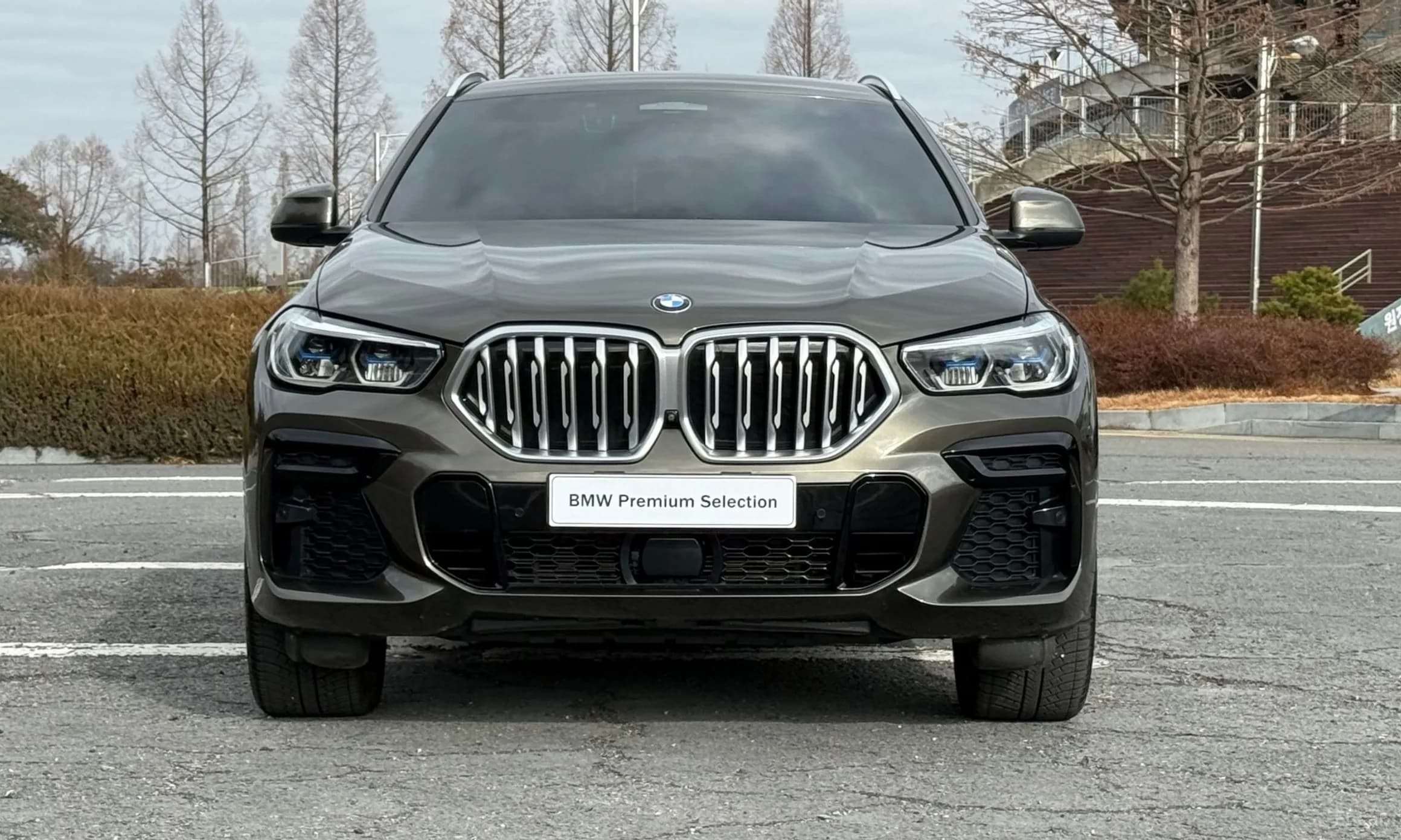 X6 (G06)
