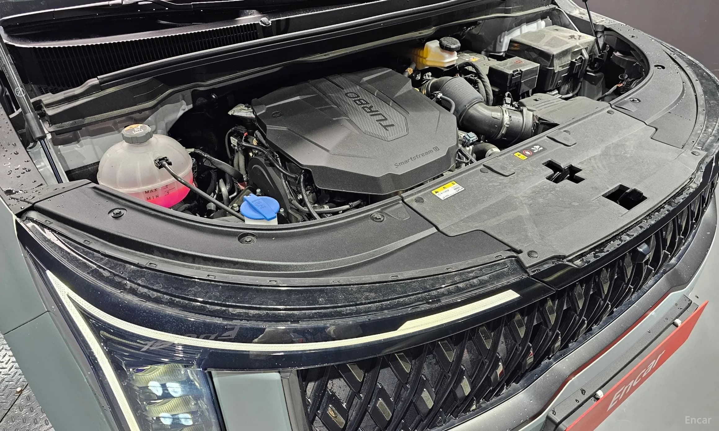 Carnival 4th Generation