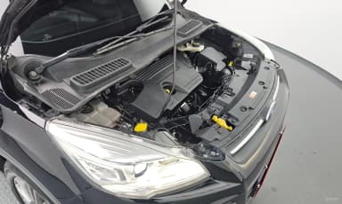 Cougar 2nd Generation