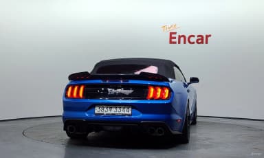 Mustang
