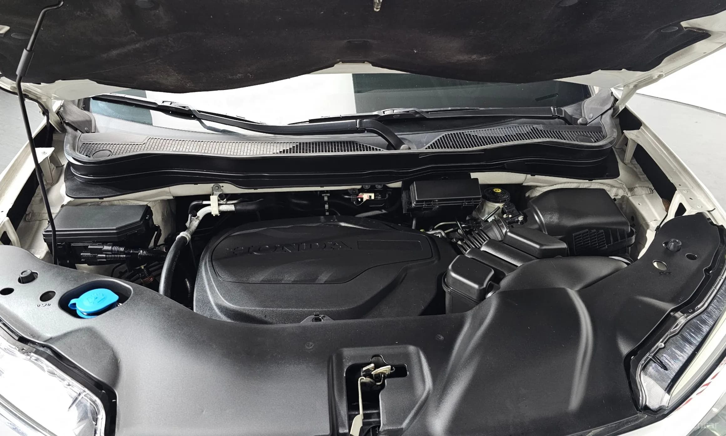 Pilot 3rd Generation