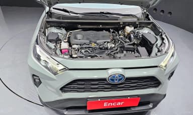 RAV4 5th Generation