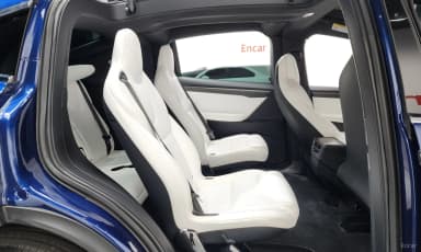 Model X