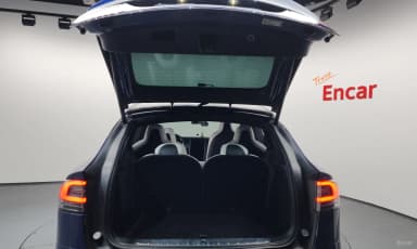 Model X