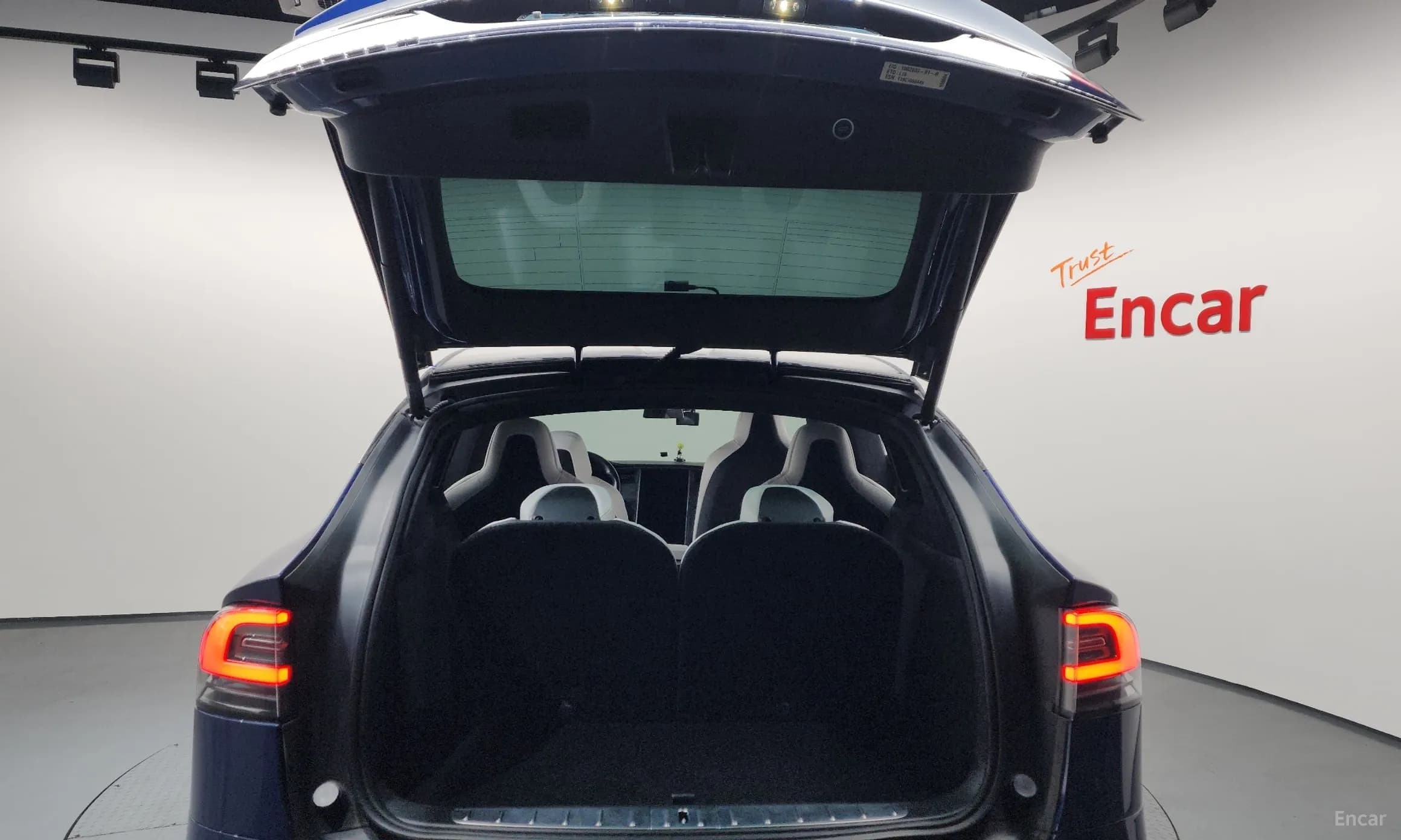Model X