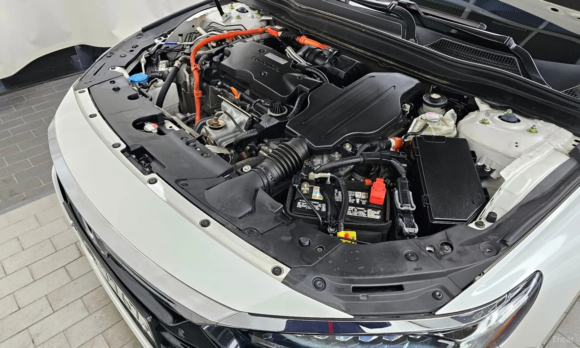 Accord 10th Generation