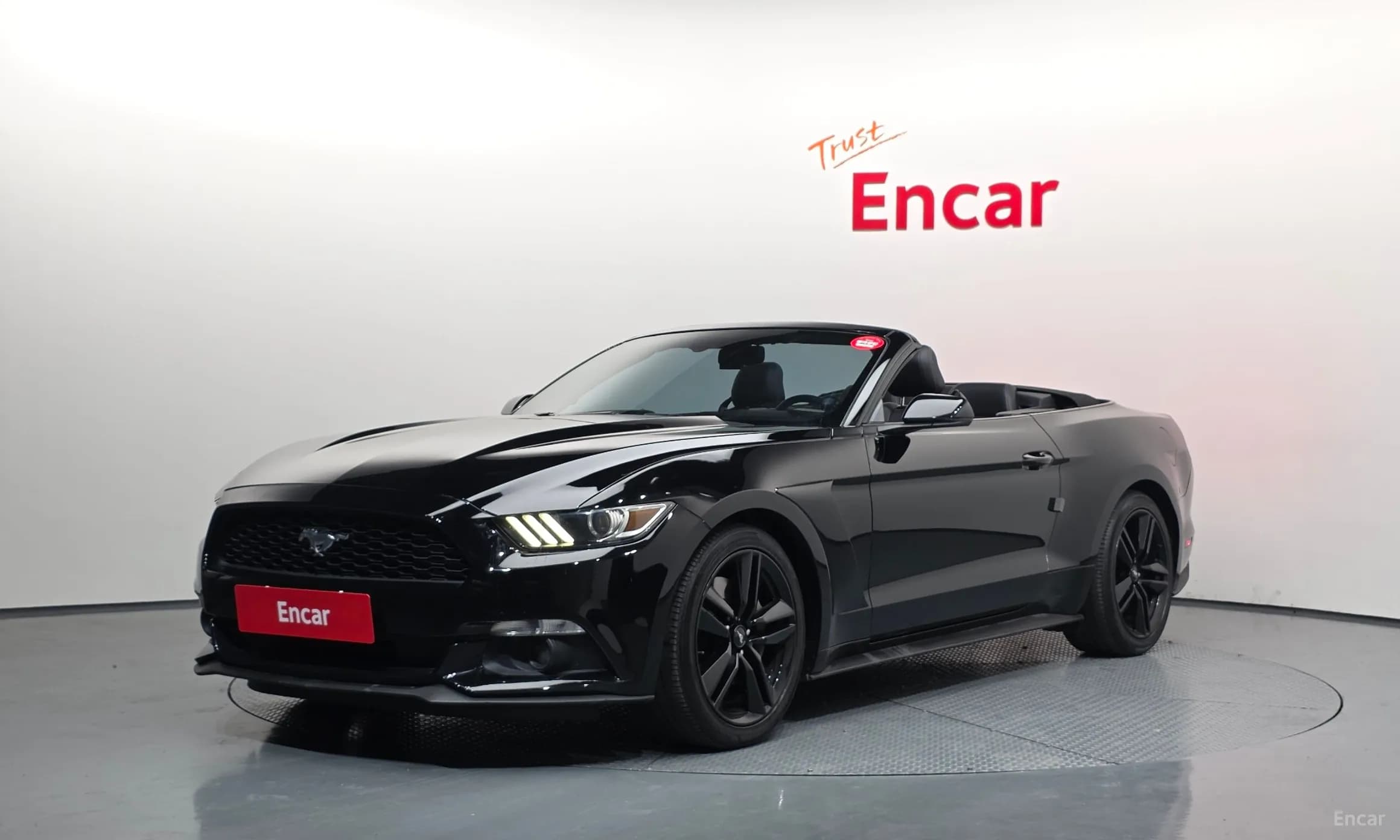 Mustang