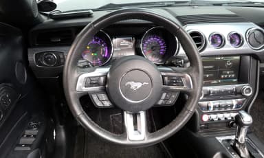 Mustang