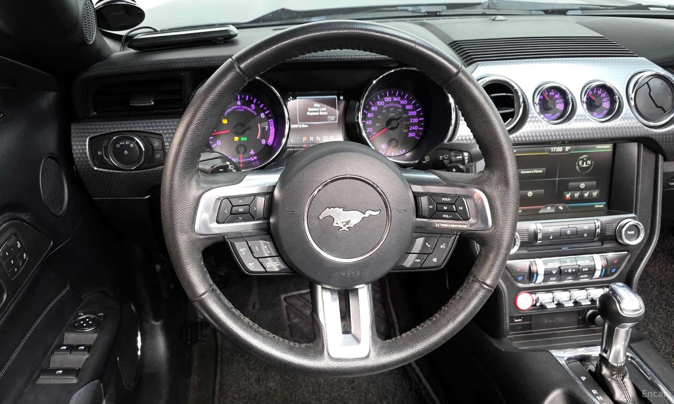 Mustang