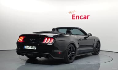 Mustang