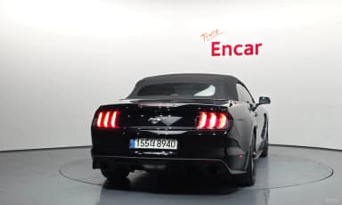 Mustang