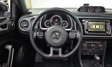 The Beetle