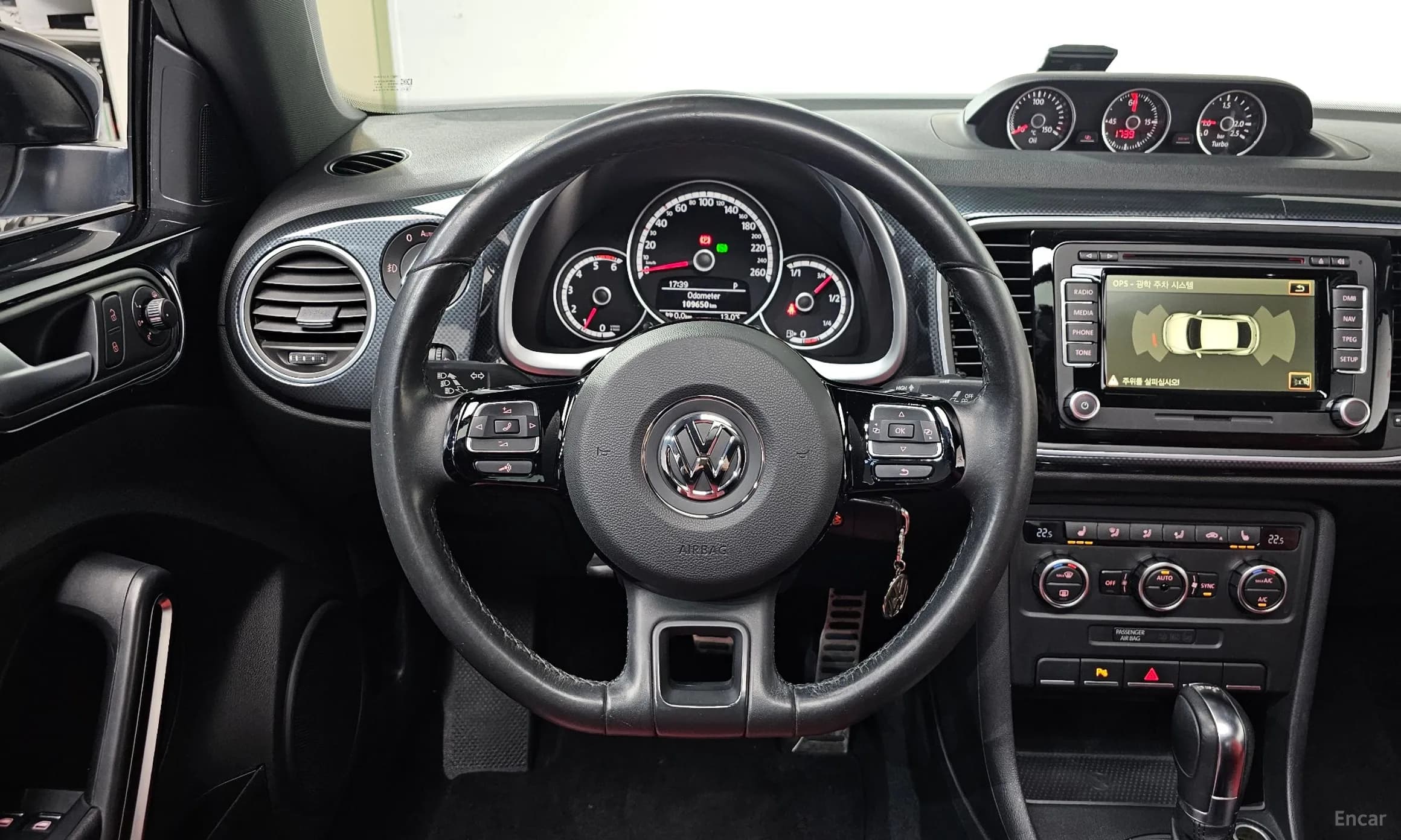 The Beetle