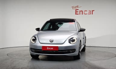The Beetle