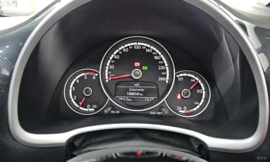 The Beetle