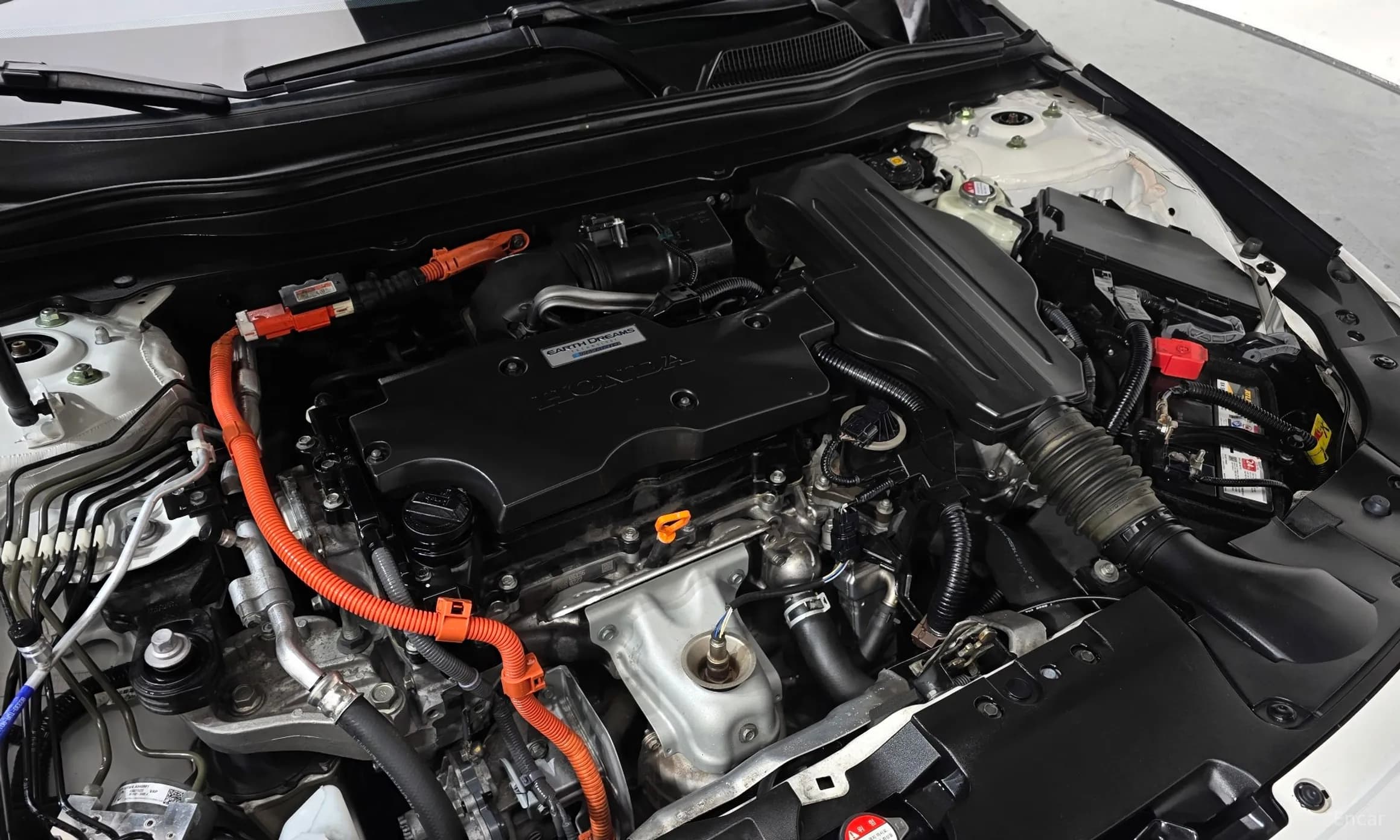 Accord 10th Generation