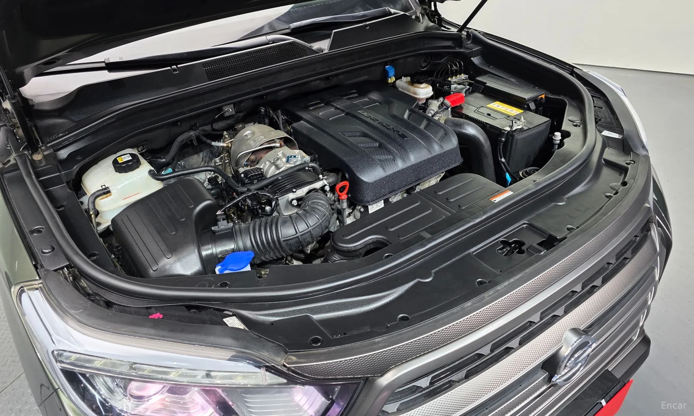 Rexton Sports