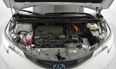 Siena 4th generation