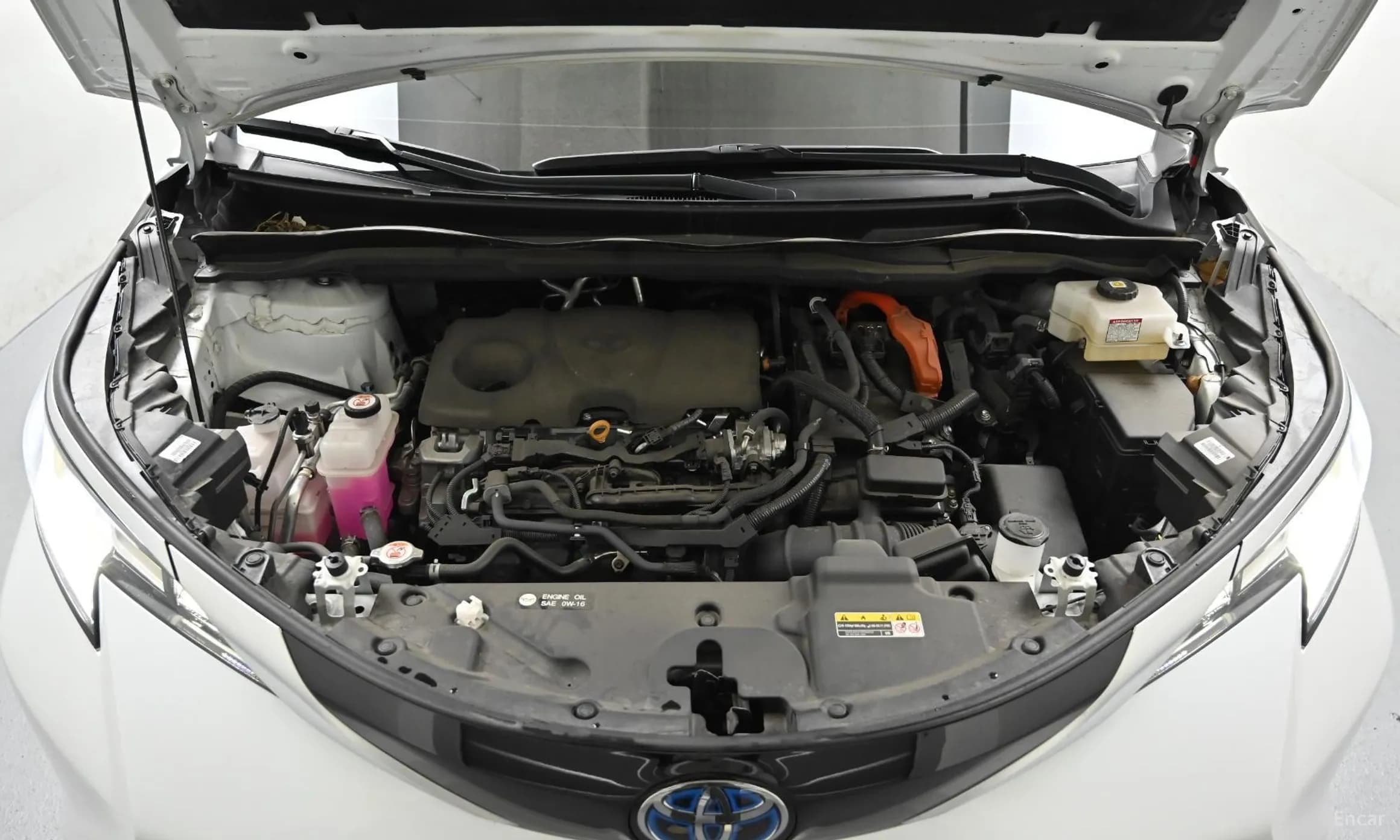 Siena 4th generation