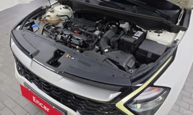 Sportage 5th Generation