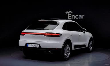 Macan