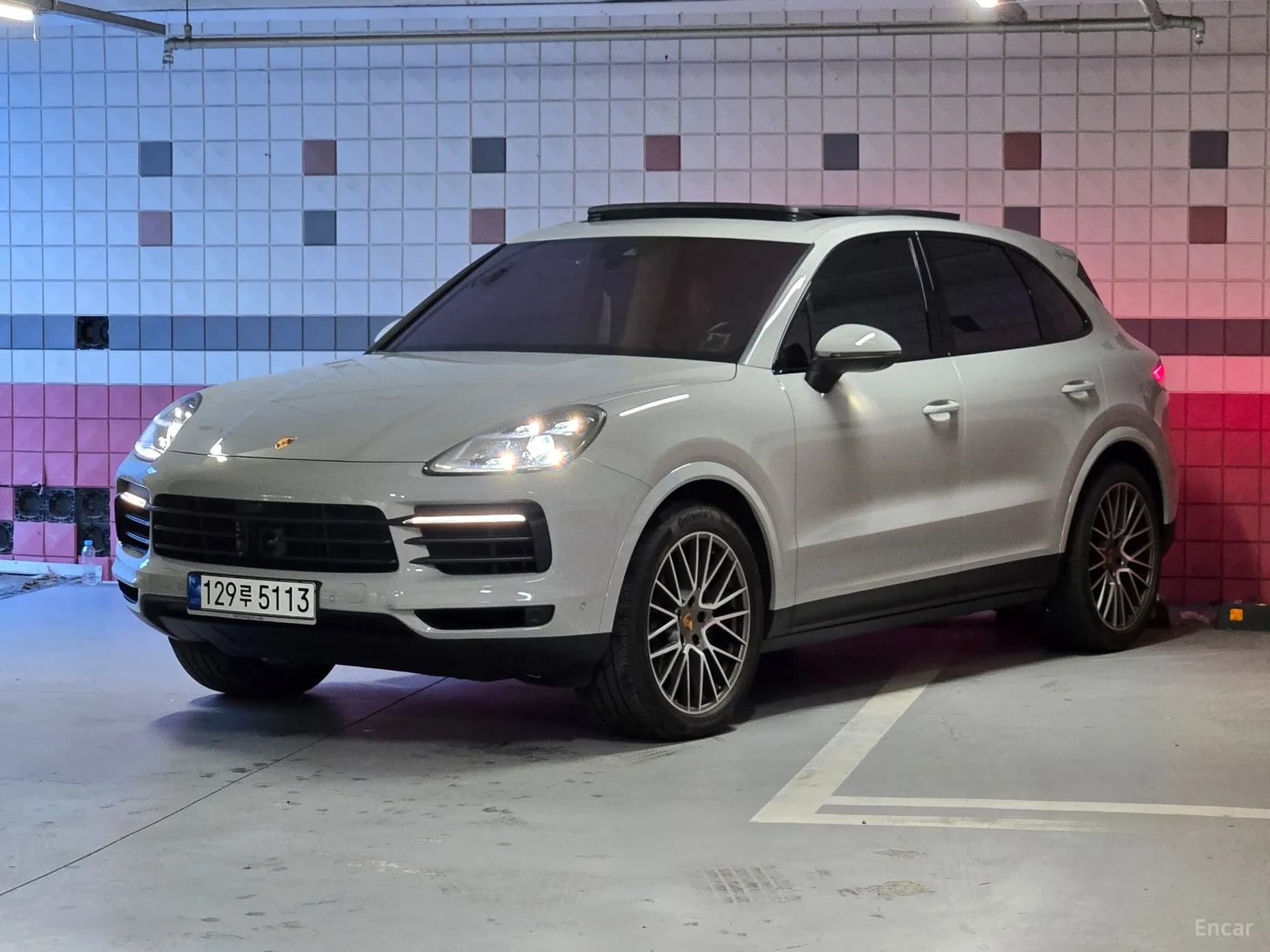Cayenne (PO536)