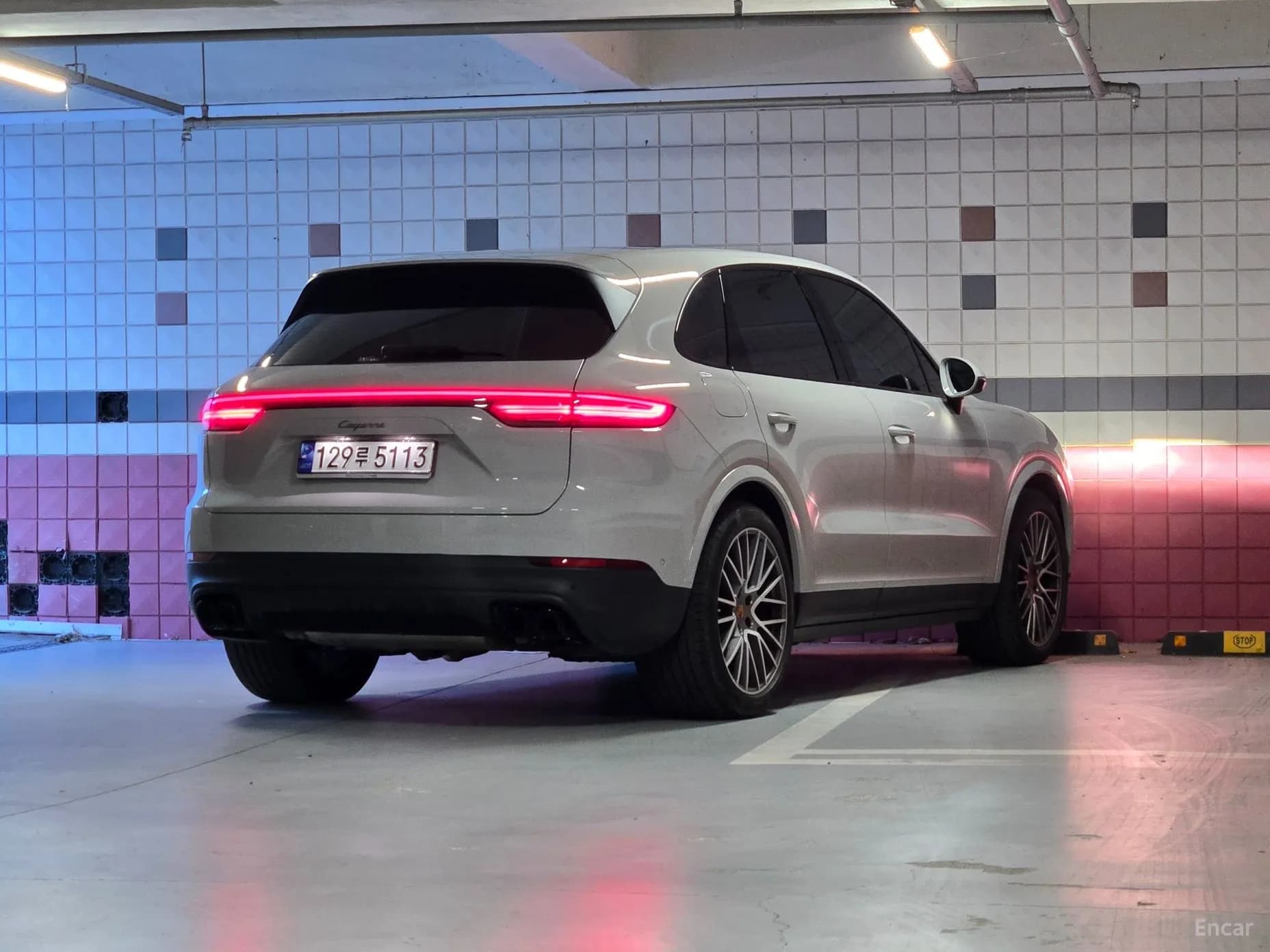 Cayenne (PO536)