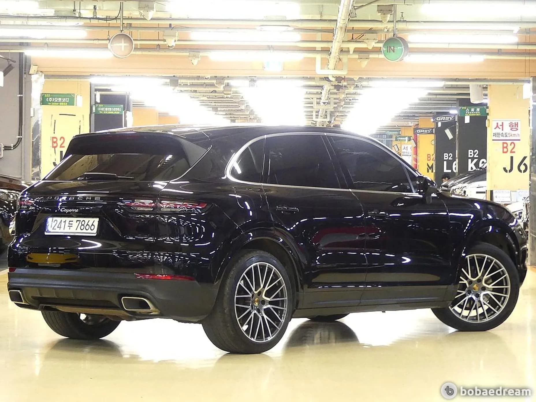 Cayenne (PO536)