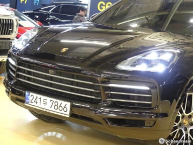 Cayenne (PO536)