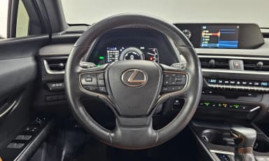 UX250h