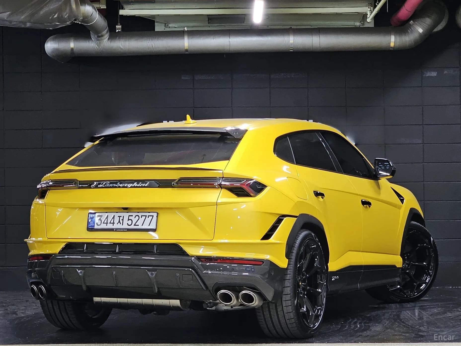 Urus