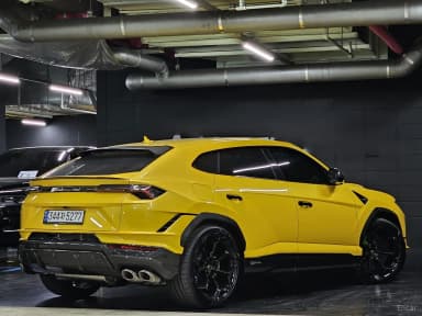 Urus