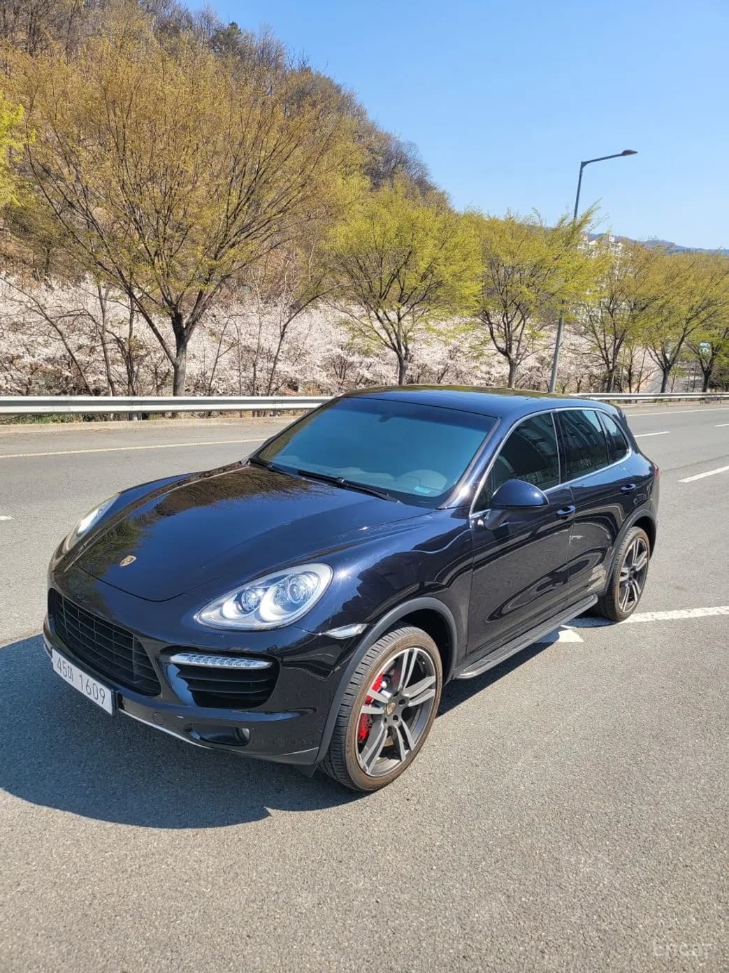 New Cayenne