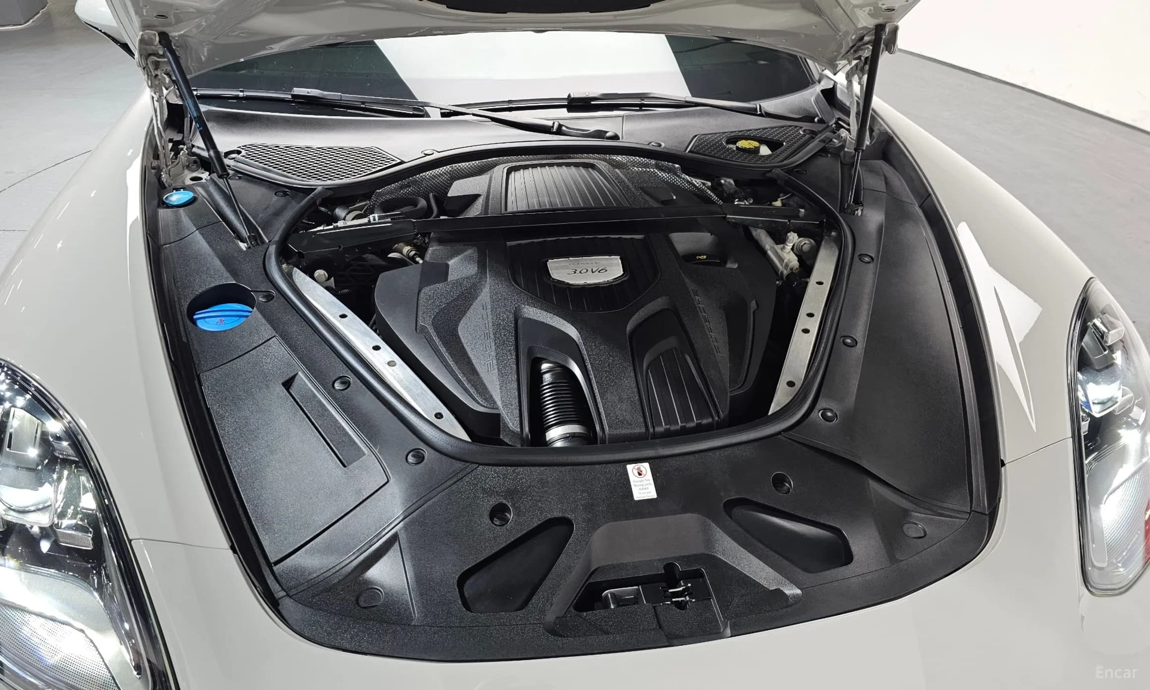 Panamera (971)