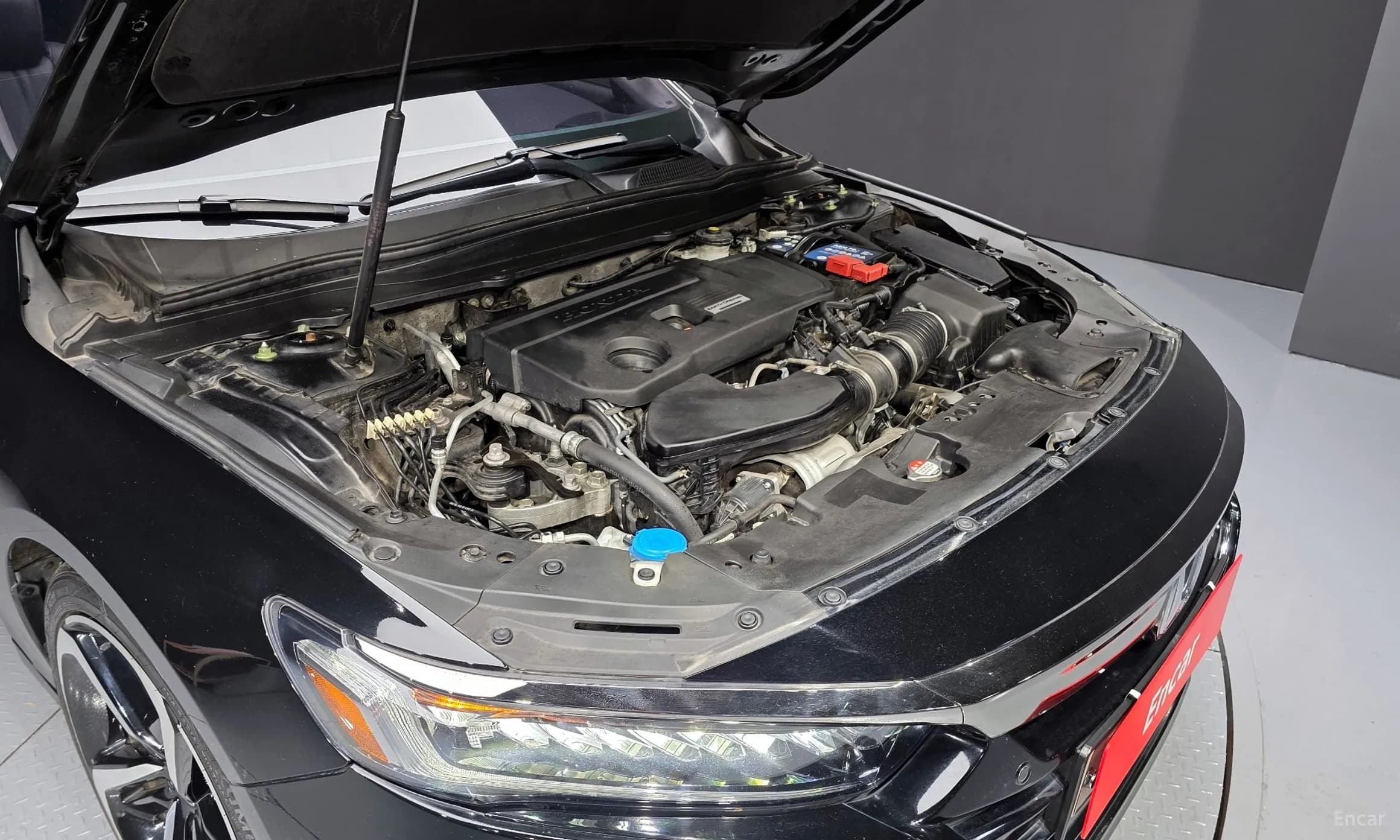 Accord 10th Generation