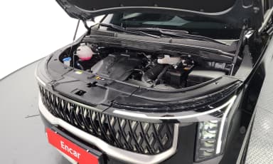 Carnival 4th Generation