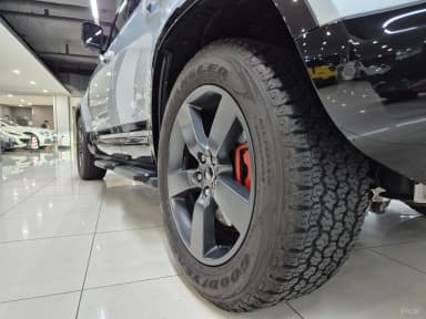 Defender (L663)