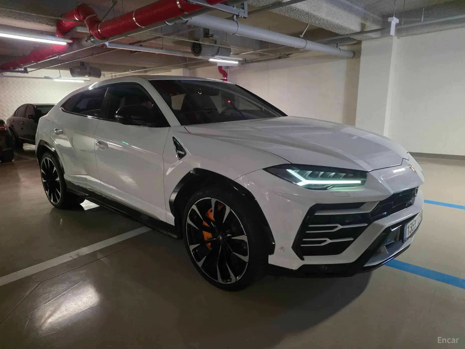 Urus